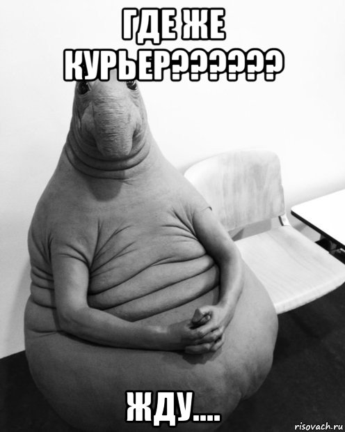 где же курьер?????? жду...., Мем  Ждун