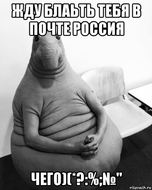 жду блаьть тебя в почте россия чего)(*?:%;№", Мем  Ждун