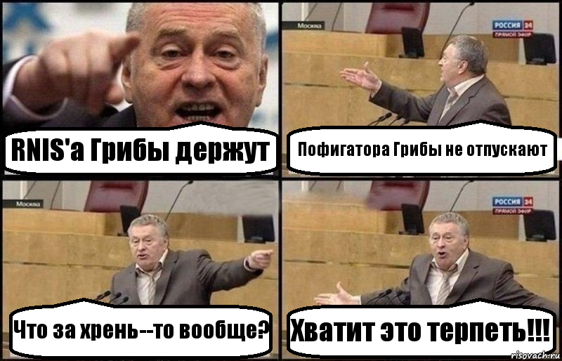 RNIS'a Грибы держут Пофигатора Грибы не отпускают Что за хрень--то вообще? Хватит это терпеть!!!, Комикс Жириновский