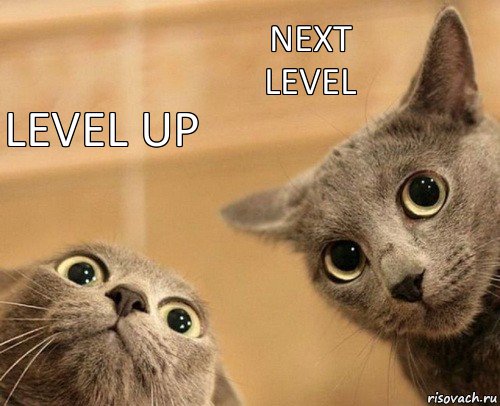 Level up Next Level, Комикс  2 кота