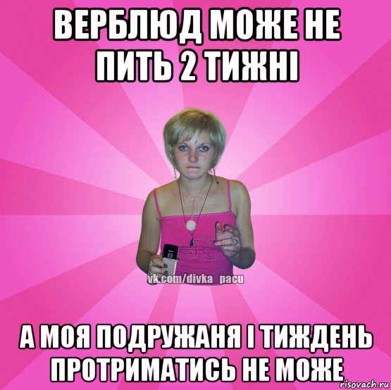 верблюд може не пить 2 тижні а моя подружаня і тиждень протриматись не може