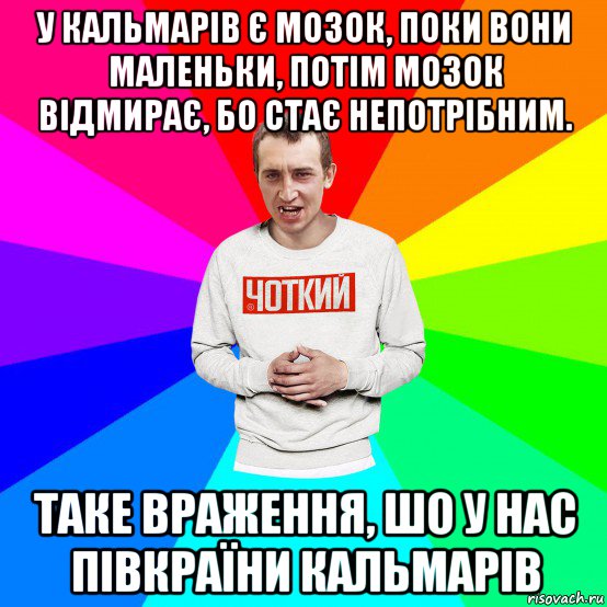 у кальмарів є мозок, поки вони маленьки, потім мозок відмирає, бо стає непотрібним. таке враження, шо у нас півкраїни кальмарів, Мем Чоткий