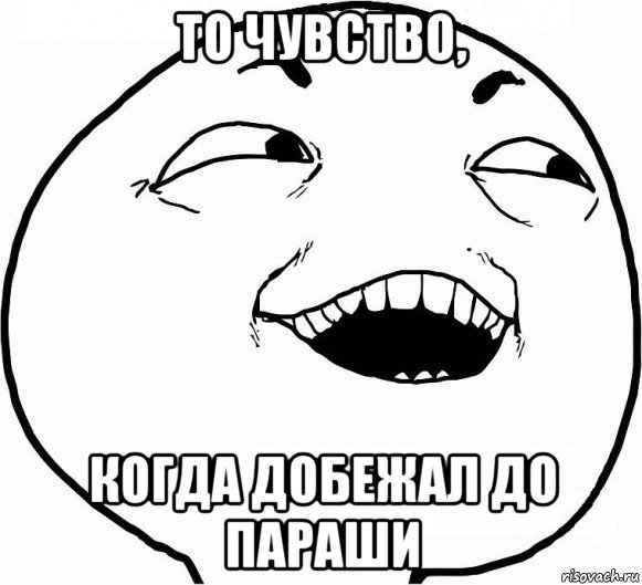 то чувство, когда добежал до параши, Мем Дааа