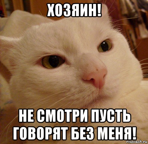 хозяин! не смотри пусть говорят без меня!, Мем Дерзкий котэ