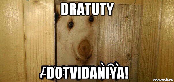 dratuty dotvidaniya!, Мем  Дратути