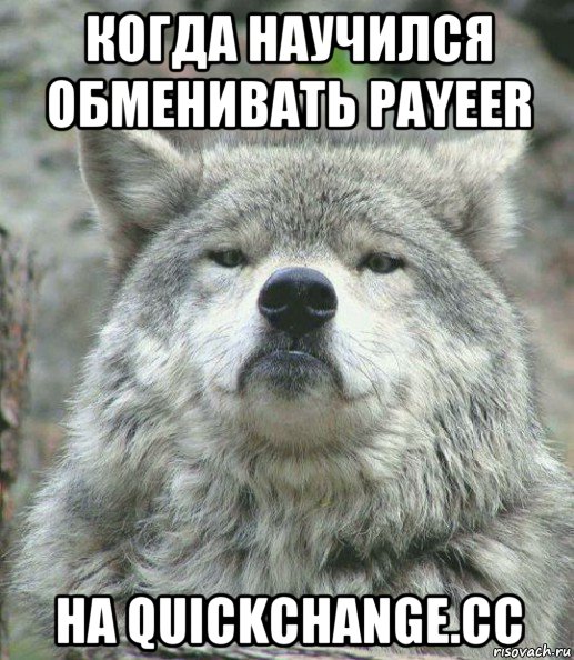 когда научился обменивать payeer на quickchange.cc, Мем    Гордый волк