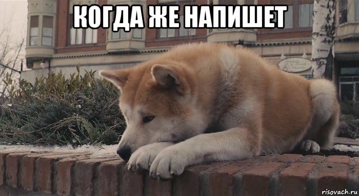 когда же напишет 