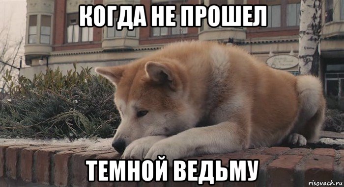 когда не прошел темной ведьму