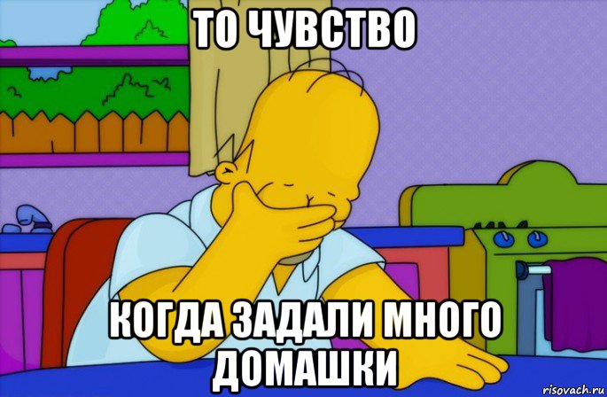 то чувство когда задали много домашки, Мем Homer simpson facepalm