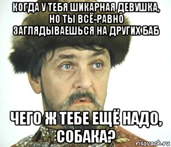 Что тебе еще надо собака. Чего тебе еще надо. Чего ж тебе ещё надо собака. Чего тебе еще надо хороняка.