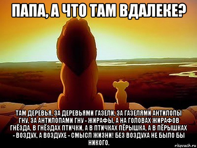 папа, а что там вдалеке? там деревья, за деревьями газели, за газелями антилопы гну, за антилопами гну - жирафы, а на головах жирафов гнёзда, в гнёздах птички, а в птичках пёрышка, а в пёрышках - воздух, а воздухе - смысл жизни! без воздуха не было бы никого., Мем  король лев