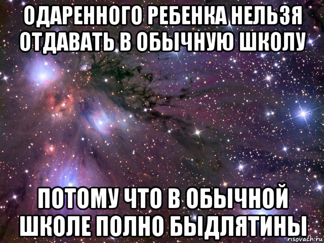 одаренного ребенка нельзя отдавать в обычную школу потому что в обычной школе полно быдлятины, Мем Космос