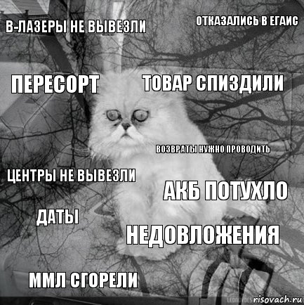 В-лазеры не вывезли АКБ потухло Товар спиздили Ммл сгорели Центры не вывезли Отказались в егаис Недовложения Пересорт Даты Возвраты нужно проводить, Комикс  кот безысходность