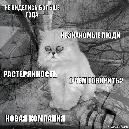 не виделись больше года о чем говорить? незнакомые люди новая компания растерянность     , Комикс  кот безысходность