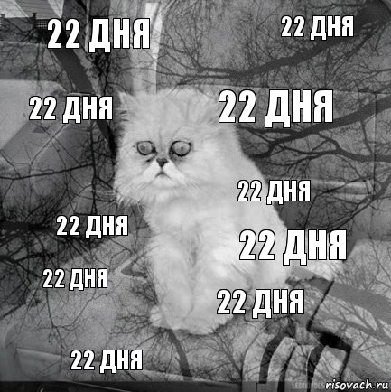 22 дня 22 дня 22 дня 22 дня 22 дня 22 дня 22 дня 22 дня 22 дня 22 дня, Комикс  кот безысходность