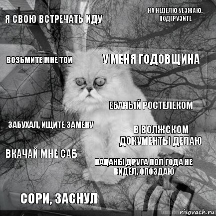 я свою встречать иду в Волжском документы делаю у меня годовщина сори, заснул забухал, ищите замену на неделю уезжаю, подгрузите пацаны друга пол года не видел, опоздаю возьмите мне тои вкачай мне саб ебаный Ростелеком, Комикс  кот безысходность