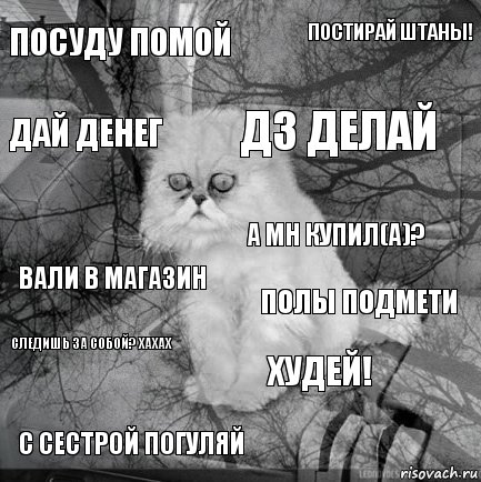 Посуду помой Полы подмети Дз делай С сестрой погуляй Вали в магазин Постирай штаны! Худей! Дай денег Следишь за собой? Хахах А мн купил(а)?, Комикс  кот безысходность