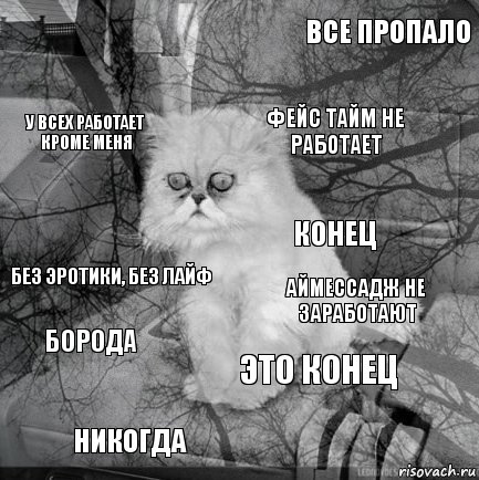  Аймессадж не заработают фейс тайм не работает Никогда Без эротики, без лайф Все пропало Это конец У всех работает кроме меня Борода Конец, Комикс  кот безысходность