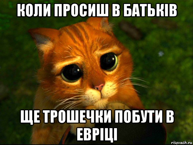 коли просиш в батьків ще трошечки побути в евріці, Мем кот из шрека