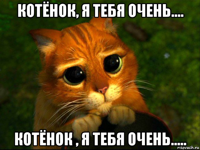 котёнок, я тебя очень.... котёнок , я тебя очень....., Мем кот из шрека