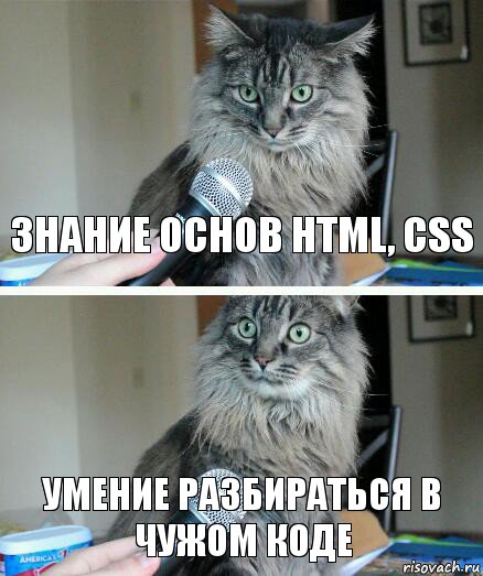 Знание основ HTML, CSS Умение разбираться в чужом коде, Комикс  кот с микрофоном