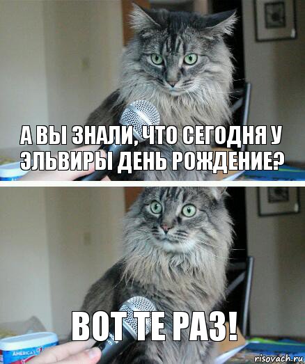 А вы знали, что сегодня у Эльвиры День рождение? Вот те раз!, Комикс  кот с микрофоном