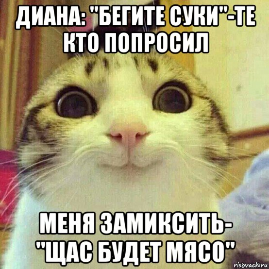 диана: "бегите суки"-те кто попросил меня замиксить- "щас будет мясо", Мем       Котяка-улыбака