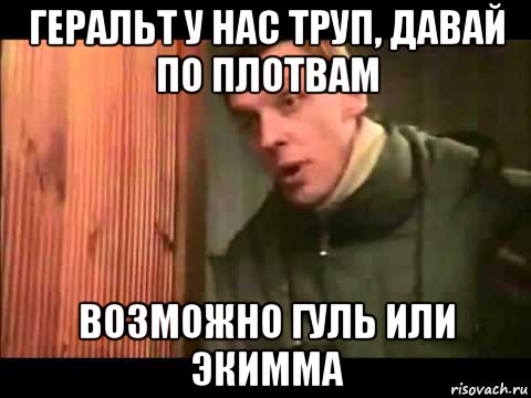 геральт у нас труп, давай по плотвам возможно гуль или экимма, Мем Ларин по коням