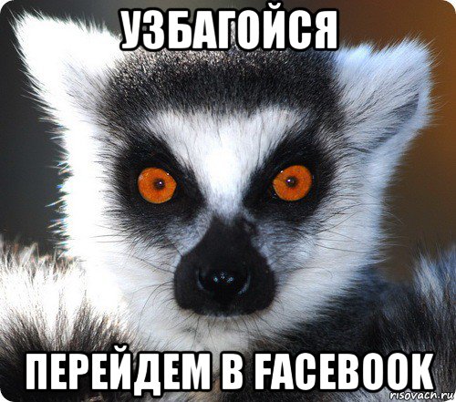 узбагойся перейдем в facebook, Мем лемур