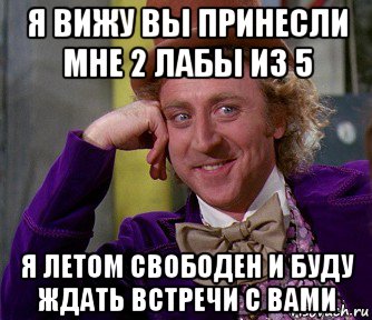 я вижу вы принесли мне 2 лабы из 5 я летом свободен и буду ждать встречи с вами, Мем мое лицо