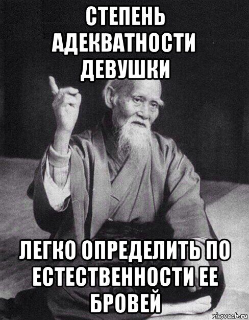 степень адекватности девушки легко определить по естественности ее бровей, Мем Монах-мудрец (сэнсей)