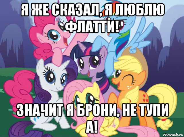 я же сказал, я люблю флатти! значит я брони, не тупи а!, Мем My little pony