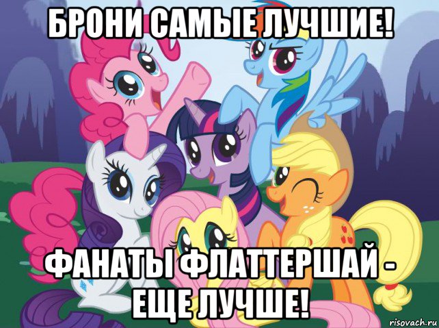 брони самые лучшие! фанаты флаттершай - еще лучше!, Мем My little pony