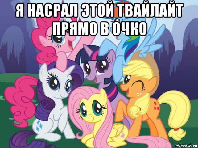 я насрал этой твайлайт прямо в очко , Мем My little pony