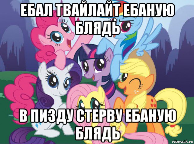 ебал твайлайт ебаную блядь в пизду стерву ебаную блядь, Мем My little pony