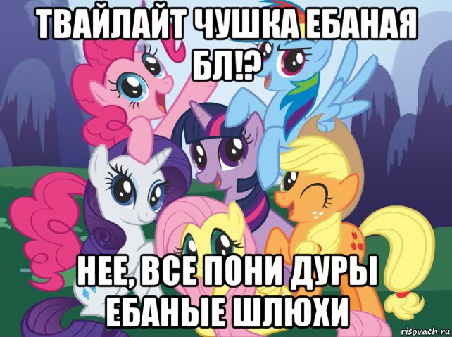 твайлайт чушка ебаная бл!? нее, все пони дуры ебаные шлюхи, Мем My little pony