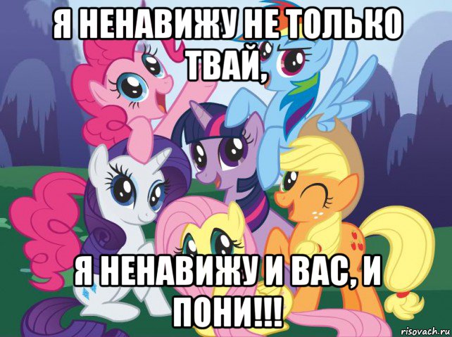 я ненавижу не только твай, я ненавижу и вас, и пони!!!, Мем My little pony