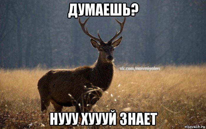 думаешь? нууу хуууй знает