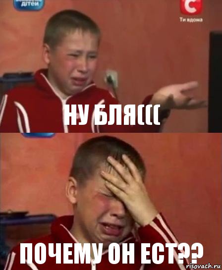 ну бля((( почему он ест??