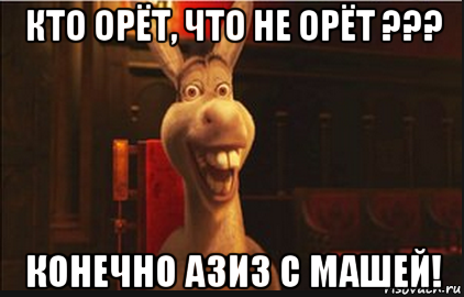 кто орёт, что не орёт ??? конечно азиз с машей!, Мем Осел из Шрека