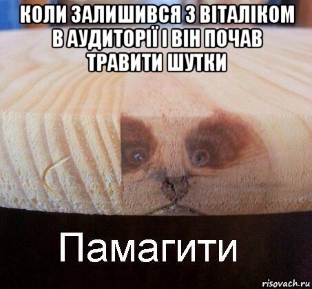 коли залишився з віталіком в аудиторії і він почав травити шутки , Мем   Памагити