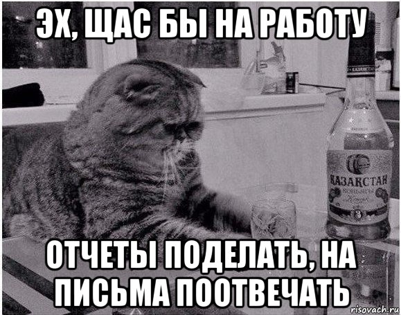 Эх сегодня. Эх Мем. Эх печаль. Эх щас бы. Щас бы Мем.