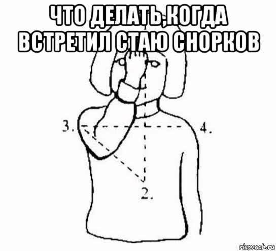 что делать,когда встретил стаю снорков , Мем  Перекреститься