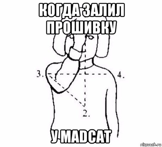 когда залил прошивку у madcat, Мем  Перекреститься