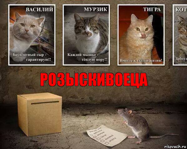 РОЗЫСКИВОЕЦА, Комикс пп