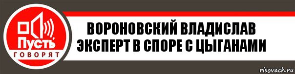 Вороновский Владислав
Эксперт в споре с цыганами, Комикс   пусть говорят