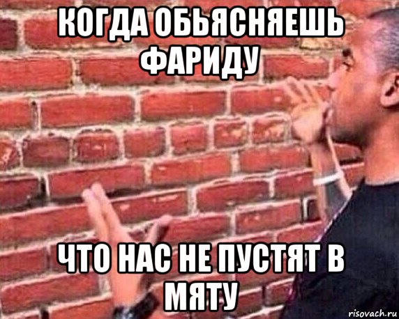 когда обьясняешь фариду что нас не пустят в мяту, Мем разговор со стеной