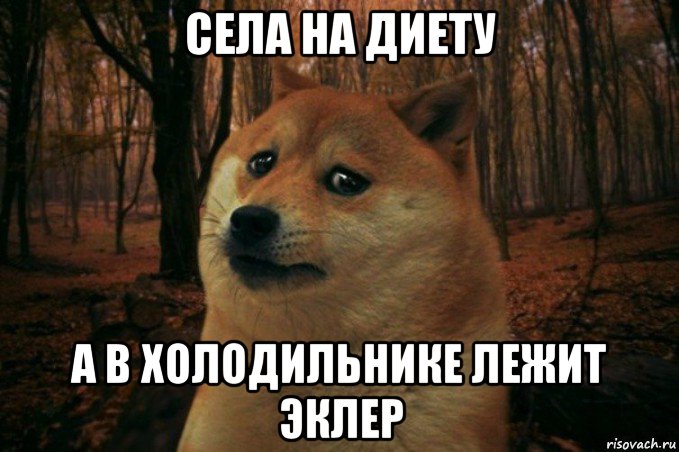 села на диету а в холодильнике лежит эклер, Мем SAD DOGE