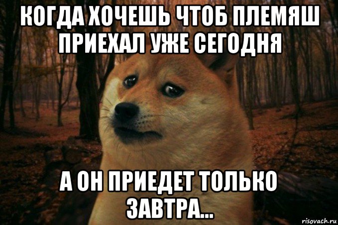 Ай яй девушка где твоя подружка. Совсем забыл про меня. Про меня забыли. Ты забыл про меня. Ты про меня совсем забыл.