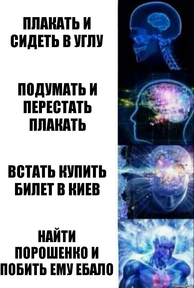 плакать и сидеть в углу подумать и перестать плакать встать купить билет в Киев найти Порошенко и побить ему ебало, Комикс  Сверхразум